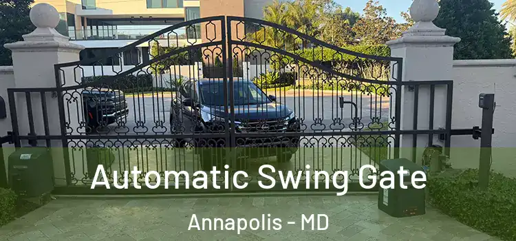 Automatic Swing Gate Annapolis - MD