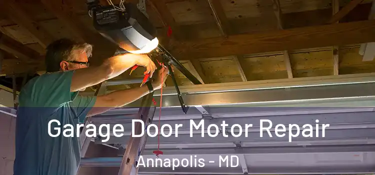  Garage Door Motor Repair Annapolis - MD
