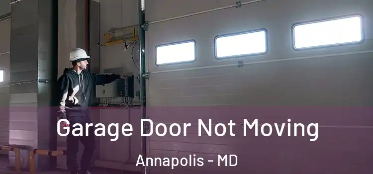  Garage Door Not Moving Annapolis - MD