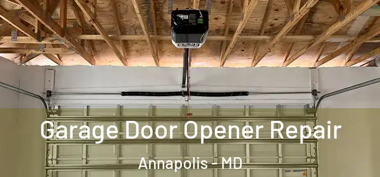  Garage Door Opener Repair Annapolis - MD