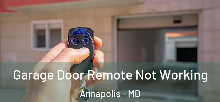  Garage Door Remote Not Working Annapolis - MD