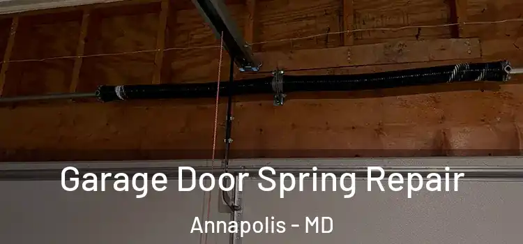  Garage Door Spring Repair Annapolis - MD