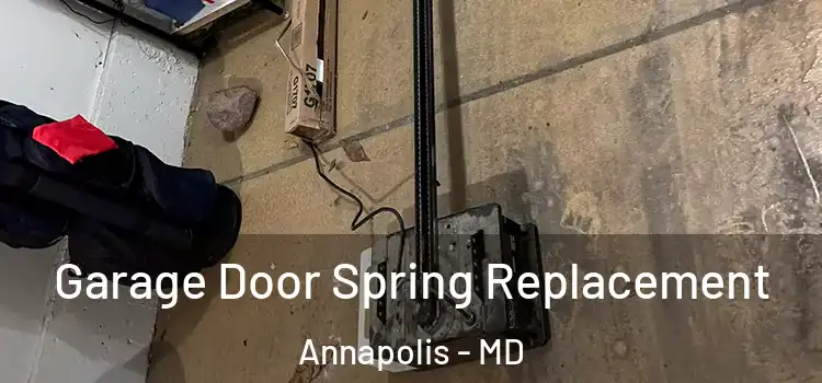  Garage Door Spring Replacement Annapolis - MD