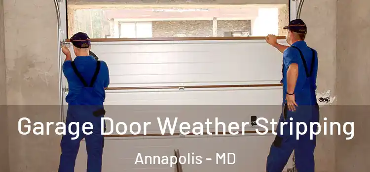  Garage Door Weather Stripping Annapolis - MD
