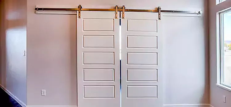Glass Barn Door with Installation Hardware Kit Annapolis