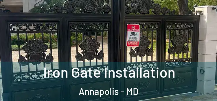  Iron Gate Installation Annapolis - MD
