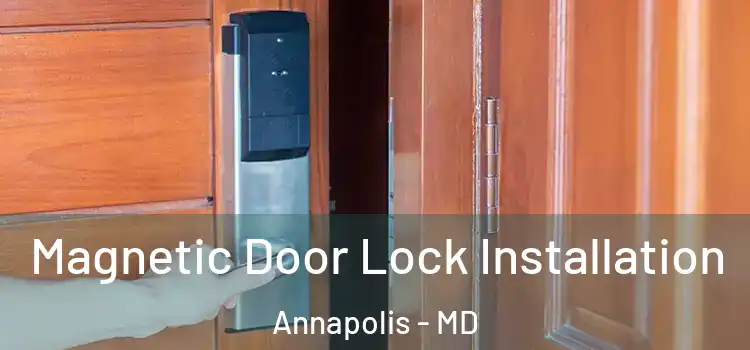  Magnetic Door Lock Installation Annapolis - MD