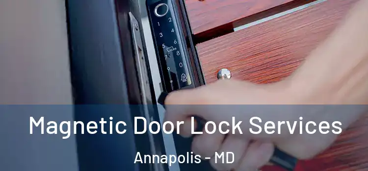 Magnetic Door Lock Services Annapolis - MD