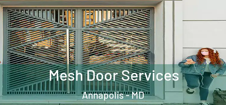 Mesh Door Services Annapolis - MD