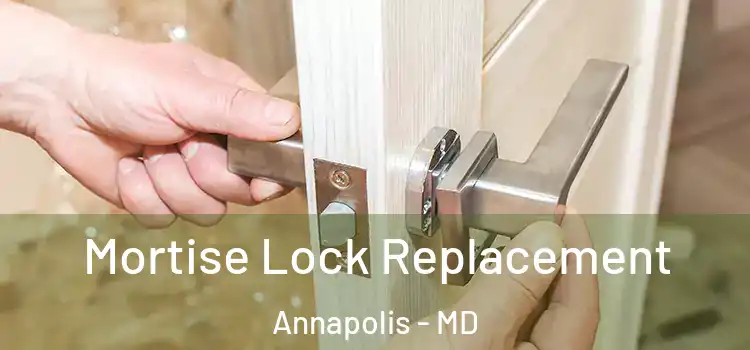 Mortise Lock Replacement Annapolis - MD
