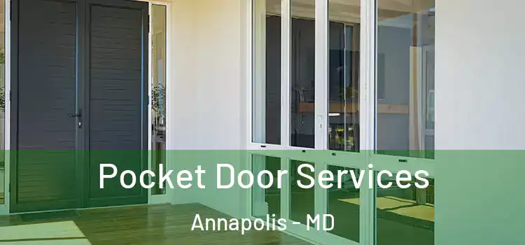  Pocket Door Services Annapolis - MD