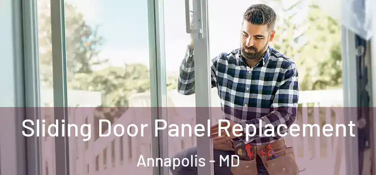  Sliding Door Panel Replacement Annapolis - MD