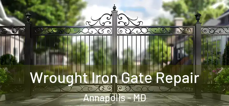 Wrought Iron Gate Repair Annapolis - MD